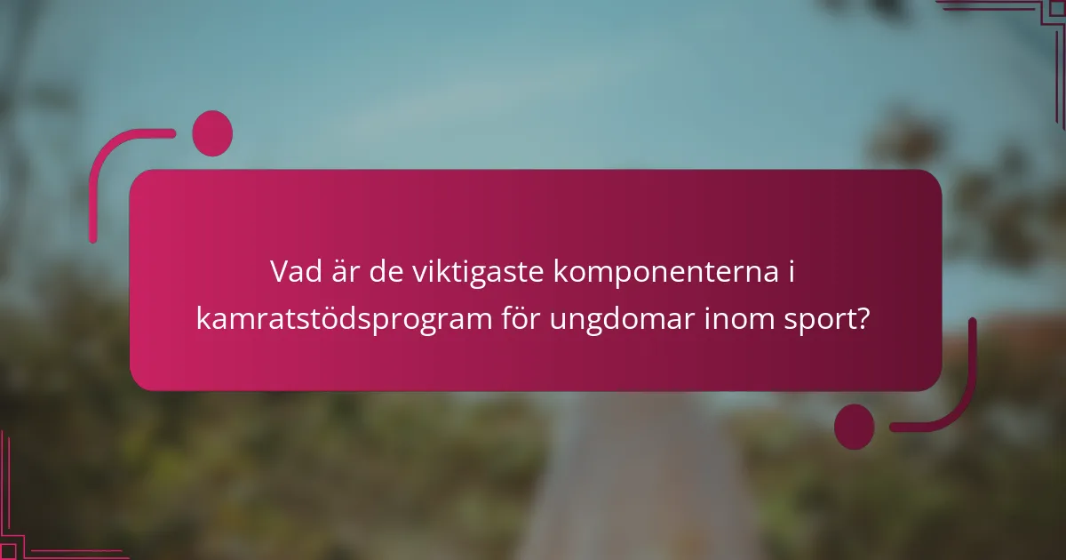 Vad är de viktigaste komponenterna i kamratstödsprogram för ungdomar inom sport?