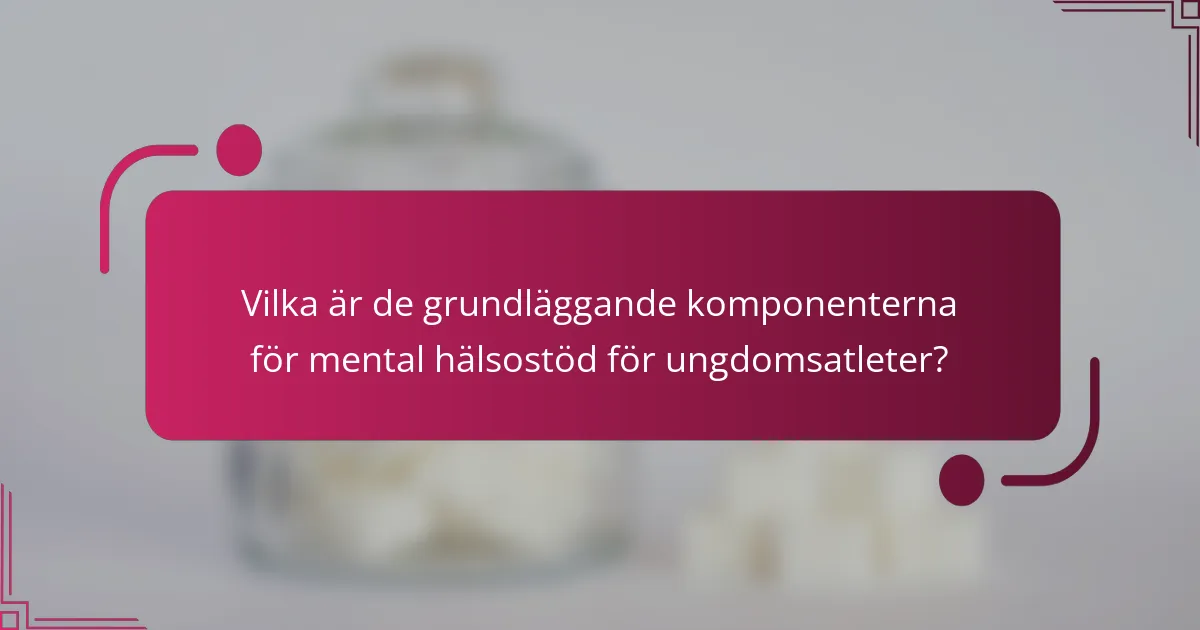 Vilka är de grundläggande komponenterna för mental hälsostöd för ungdomsatleter?
