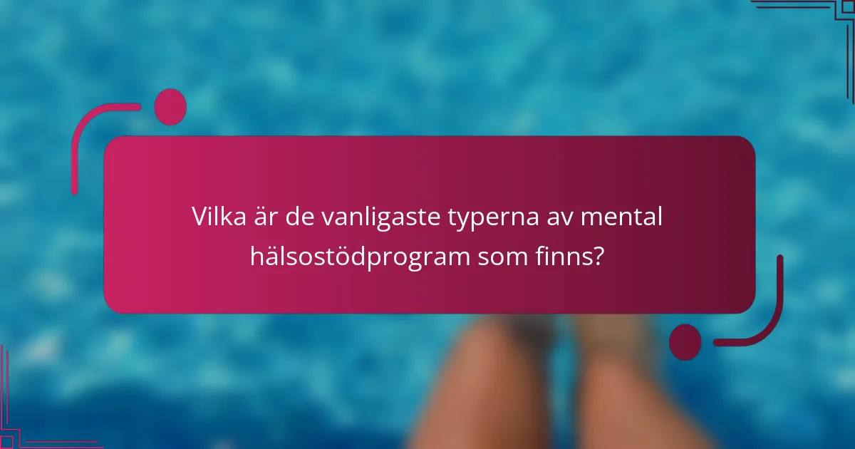 Vilka är de vanligaste typerna av mental hälsostödprogram som finns?
